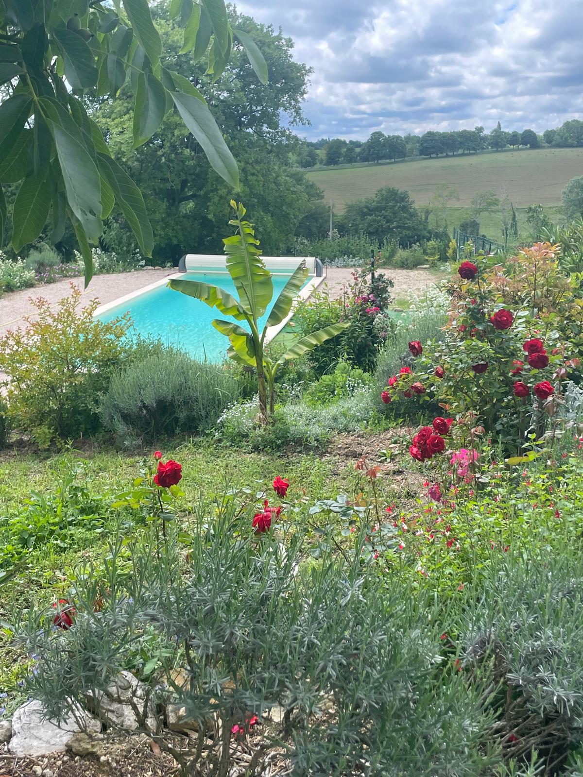 Piscine et jardin fleuri